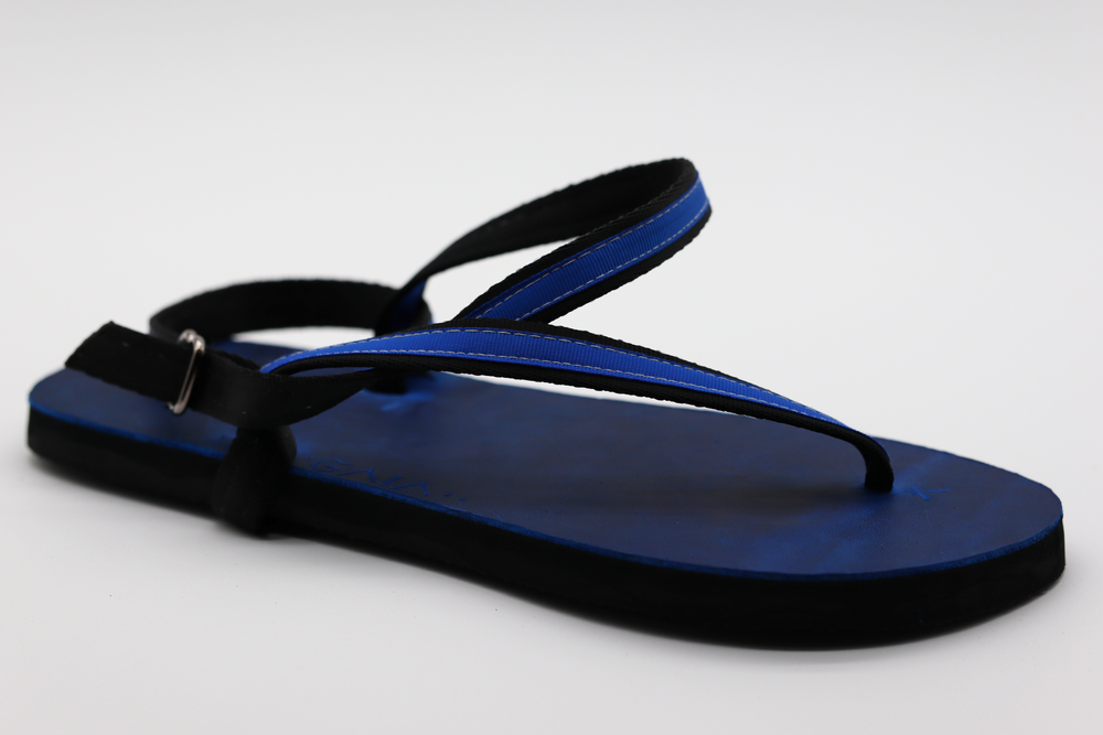 GAIA Arctic - Main Image