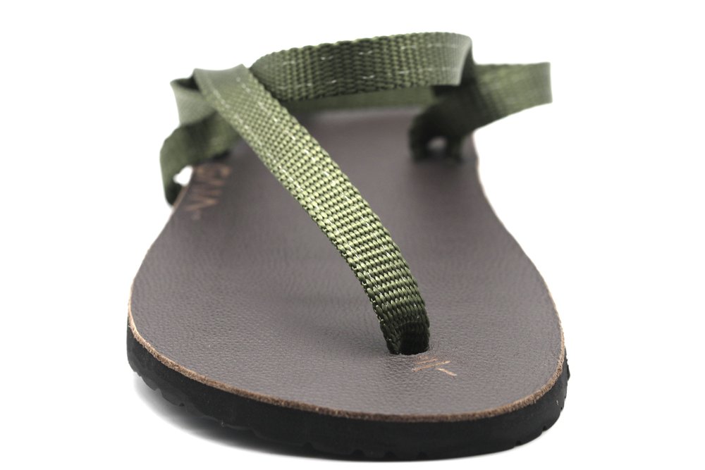 GAIA - Olive
