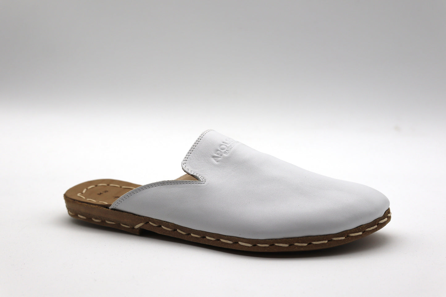 Apollo Earthwear - Conductive Slipper Slide